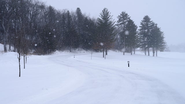 Trees on snow covered field against sky,Rochester,Minnesota,United States,USA 
