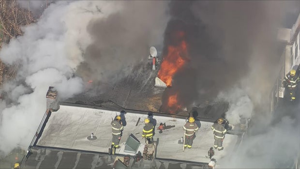 Fire on North Lambert Street
