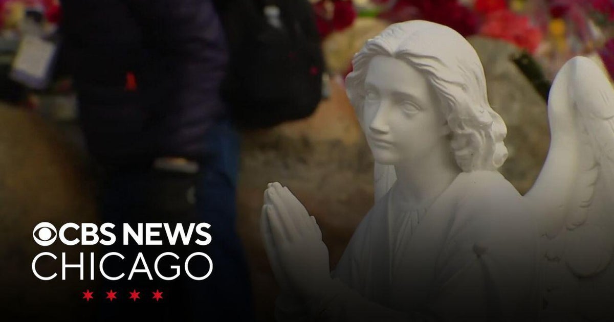 Celebration of Our Lady of Guadalupe begins in Des Plaines - CBS Chicago