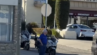 lapd-jaywalking.png 