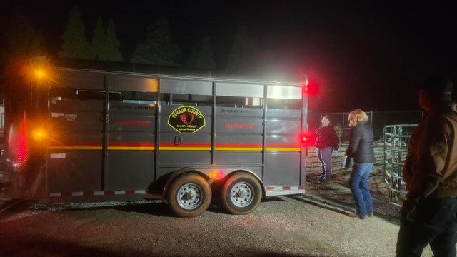 meyer-ravine-rd-over-200-animals-rescued-2-nevada-co-sheriff-png.jpg 