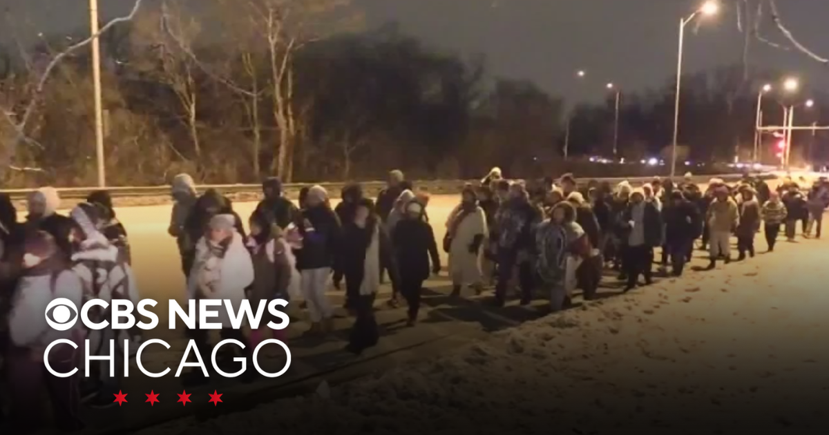 Celebration of Our Lady of Guadalupe continues - CBS Chicago