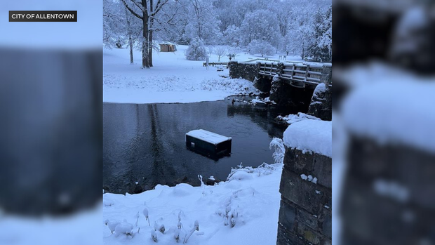 Damage to the "Lights in the Parkway" holiday display in Allentown, Pennsylvania