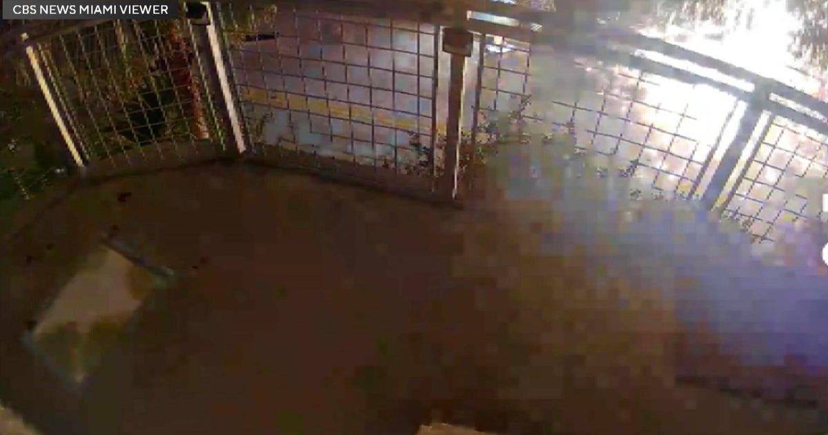 Surveillance video shows dramatic moment stolen Ferrari slams into Miami utility pole