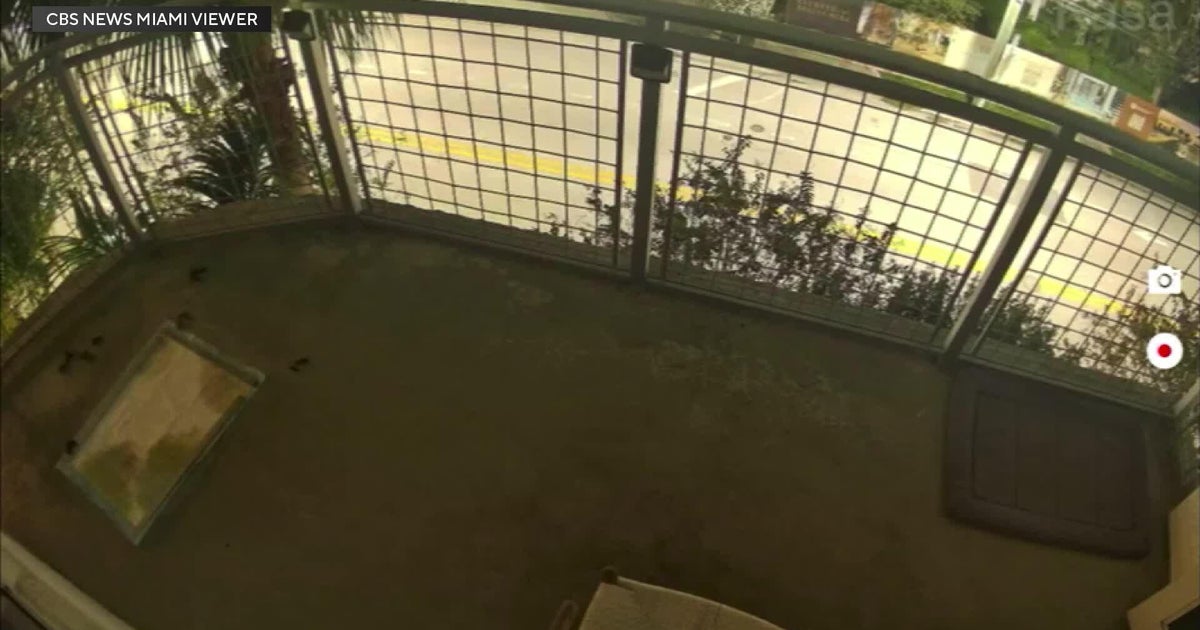 New video shows moment stolen Ferrari slams into Brickell utility pole