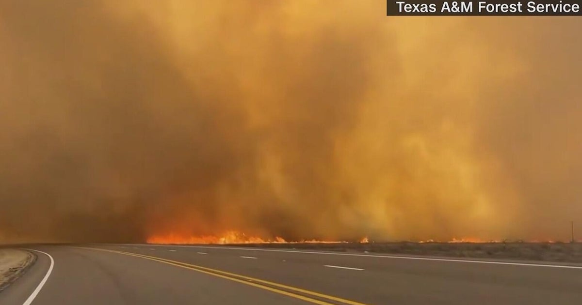 Texas sues utility company over historic wildfire caused by downed powerlines