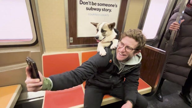 A man with a dog in a backpack on the subway