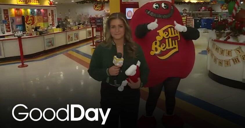 Bella is in Fairfield taking a tour of the Jelly Belly Factory! - Good ...
