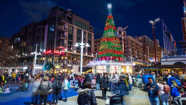 Baltimore Skyline and Inner Harbor 