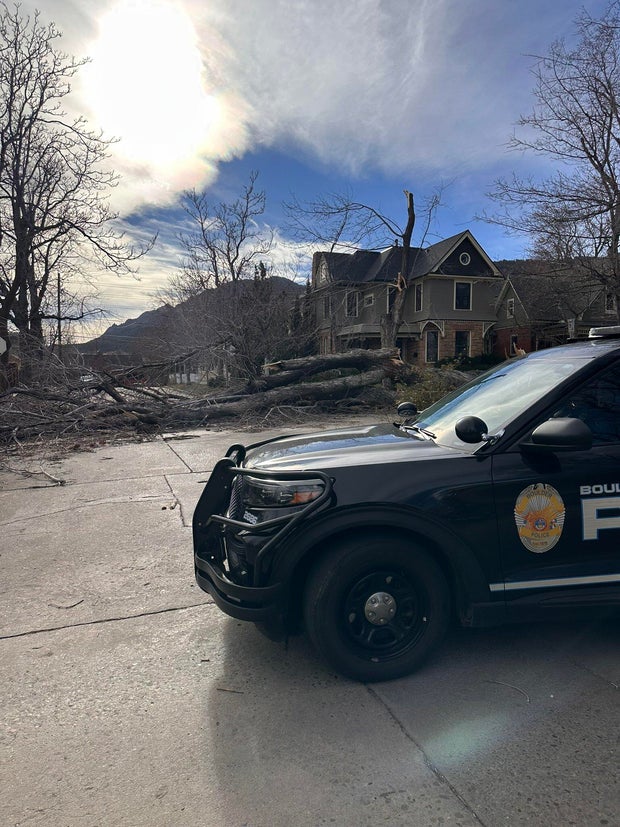 storm-damage-photos-4-7th-mapleton-tree-down-boulder-pd-tweet.jpg 
