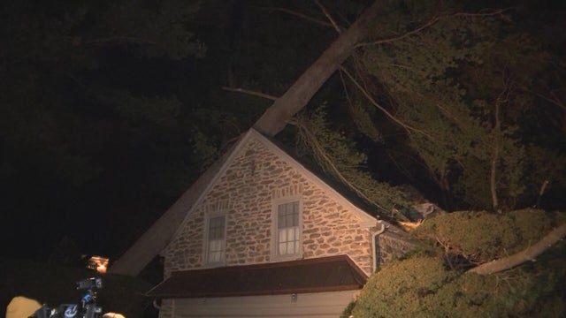 Damaging winds slam Philly, South Jersey, toppling trees onto homes, vehicles 