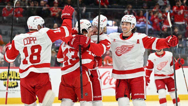 Detroit Red Wings v Washington Capitals 