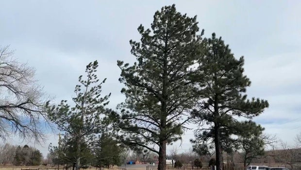 Colorado wind gusts surge up over 100 mph again to end the week
