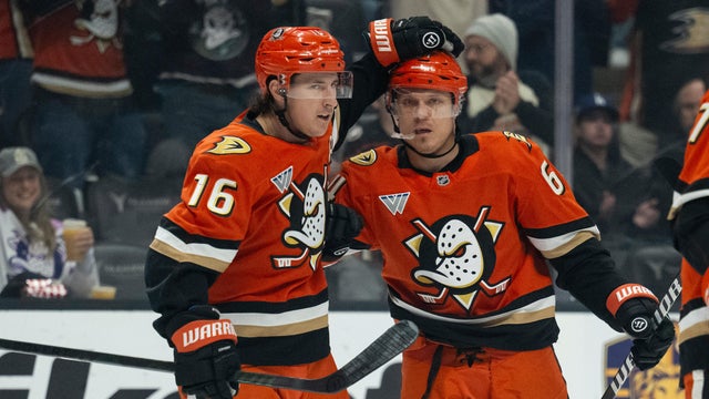 Blue Jackets Ducks Hockey 