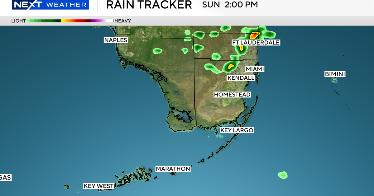 Warm and mostly dry Sunday for South Florida, with chance of passing rain mid-afternoon