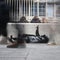 Banksy unveils new art in London