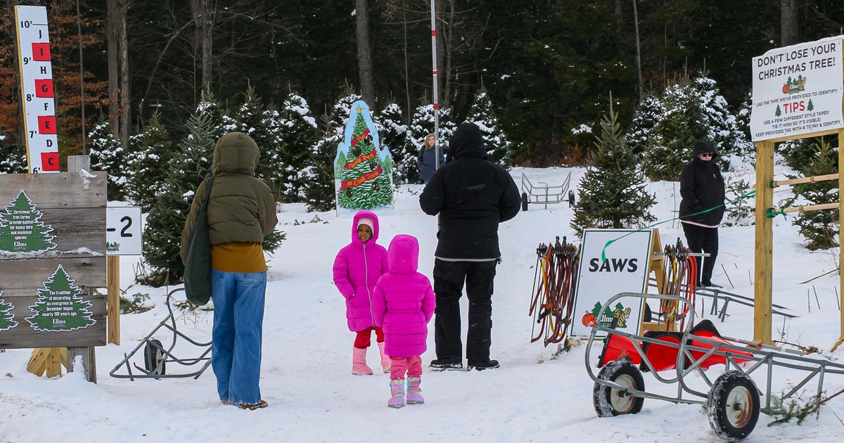 Ваканционният сезон предизвиква повече положителни чувства отколкото отрицателни като много