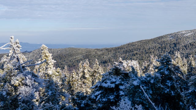 Winter landscape of Mount Monadnock in New Hampshire featuring snow-covered trees and a clear blue sky 