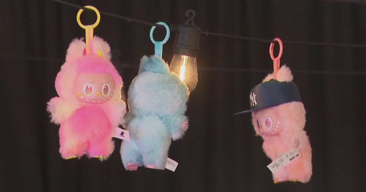 Top stories in business for 2025: TikTok, Labubus, space tourism and branding backlash