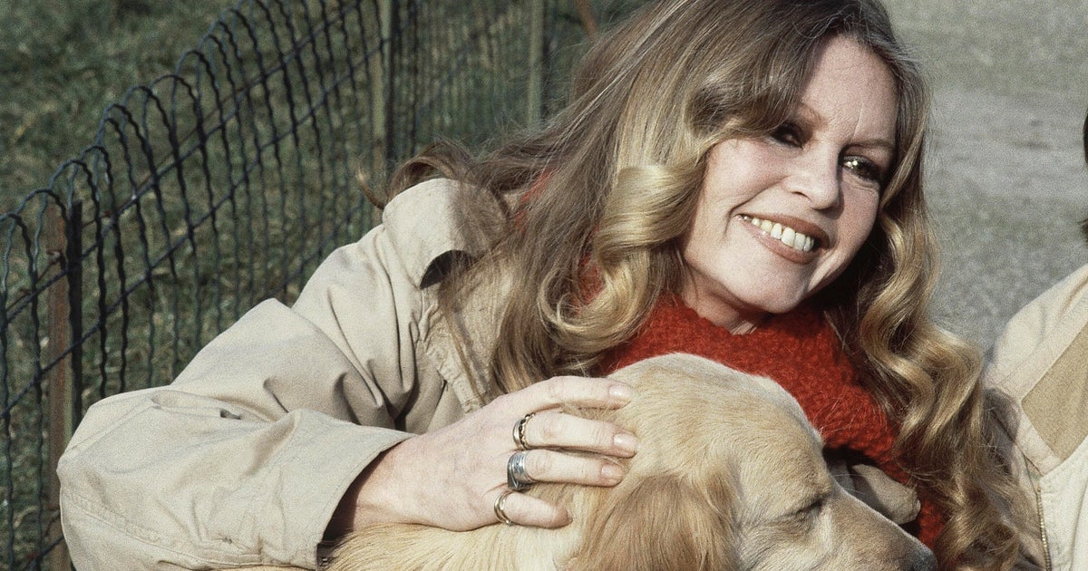 Париж —  Френските политици бяха разделени в понеделник относно това