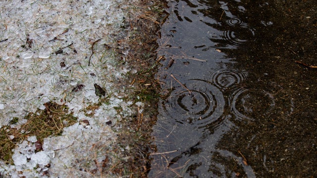 Extreme Ice Storm Cuts Power To 800,000 Michigan Homes, Businesses 