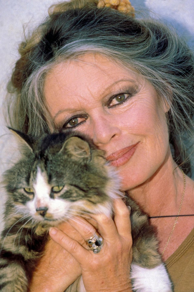 Portrait De Brigitte Bardot 
