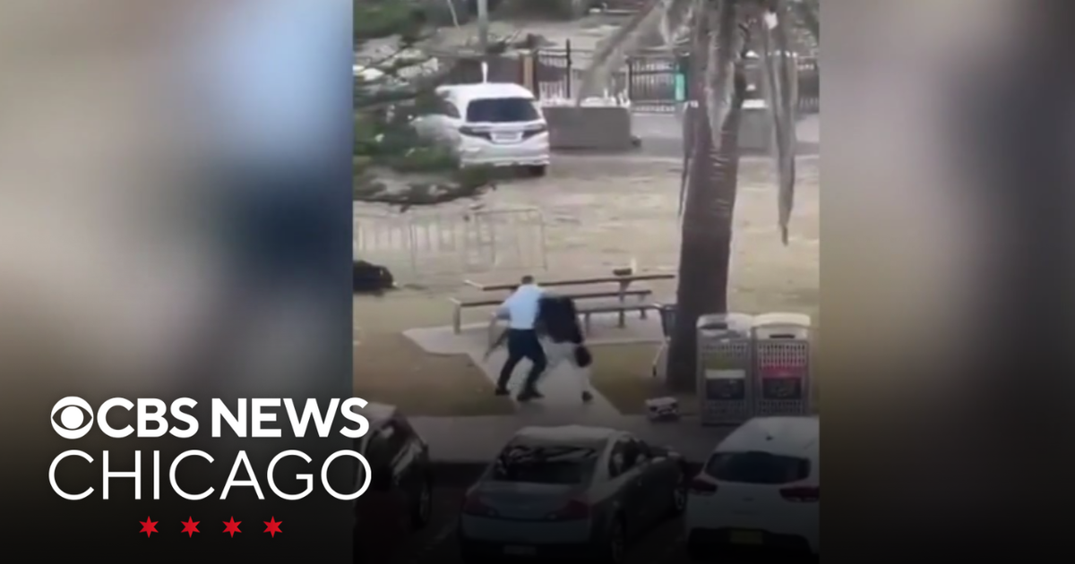 Police believe Bondi Beach suspects acted alone