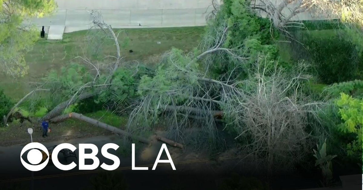 Strong Santa Ana winds cause damage across Southern California - CBS ...