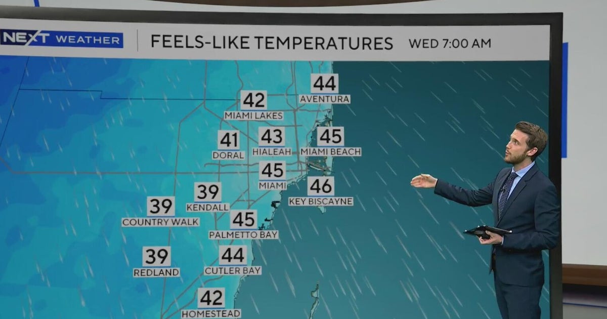Plunging temperatures in South Florida to make for some cold New Year's ...