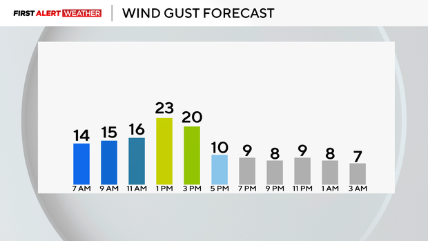 wind-gust-trend-today.png 