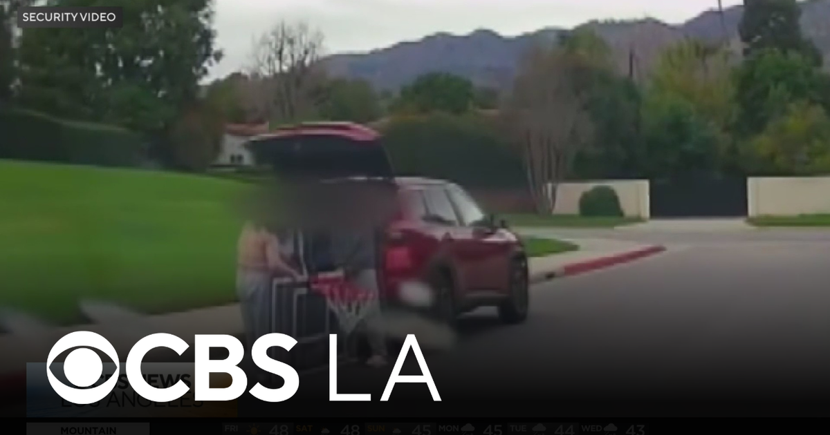 LA family asks for return of basketball hoop stolen just days after Christmas