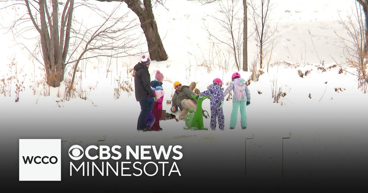 Minnesotans start the new year with polar plunge