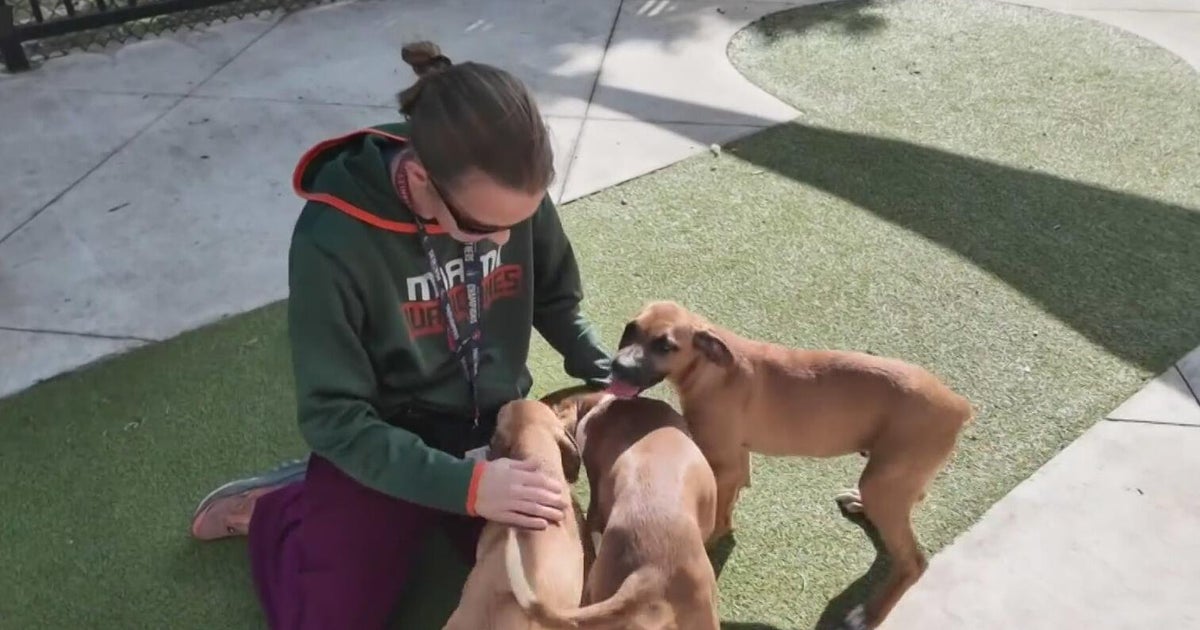 Florida shelters add new screening under