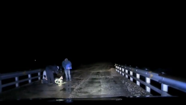 Shea Briar dashcam video