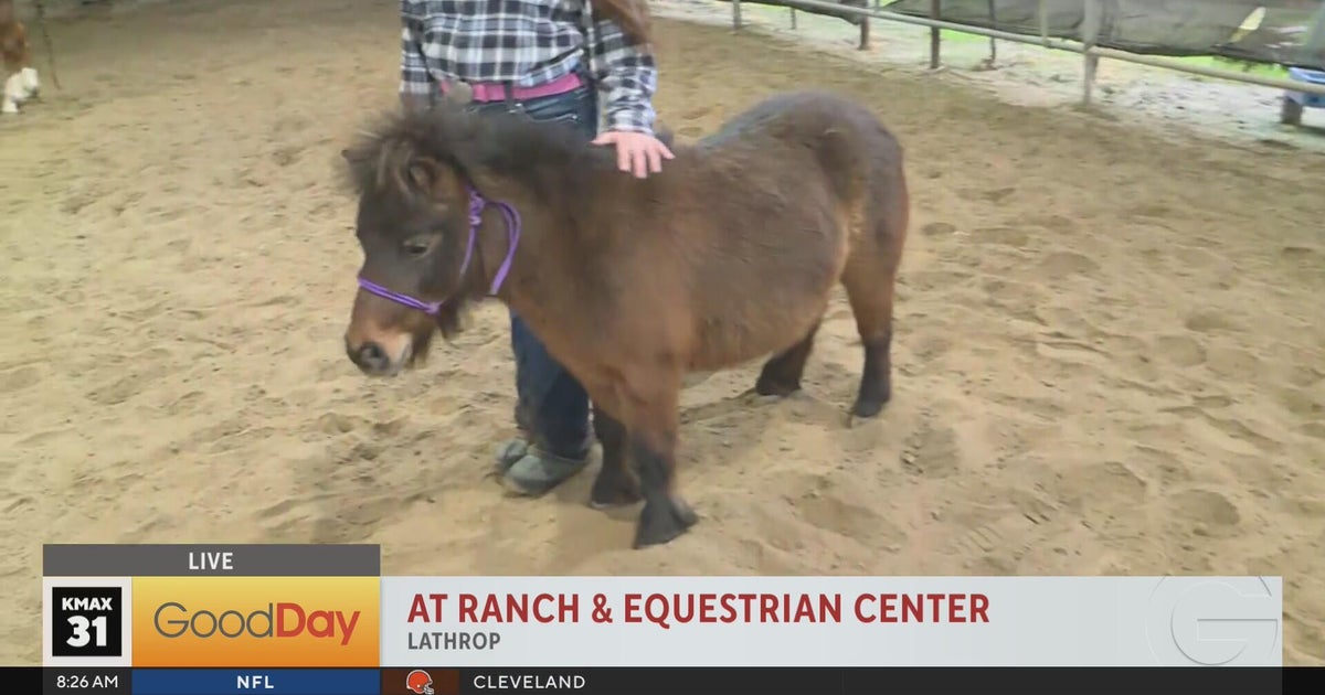 Learn how to ride at A T Ranch & Equestrian Center in Lathrop! - Good ...