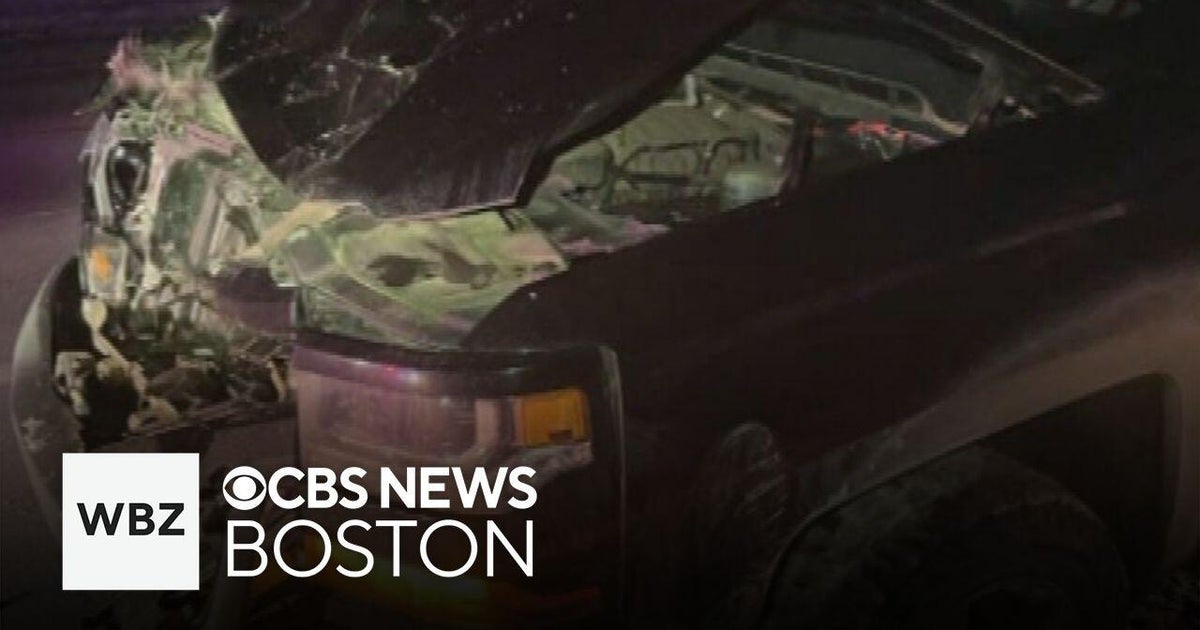 New Hampshire police issue warning after moose strike and more top stories