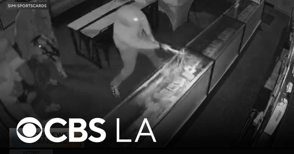 Smash and grab burglary caught on camera at Simi Valley trading card store