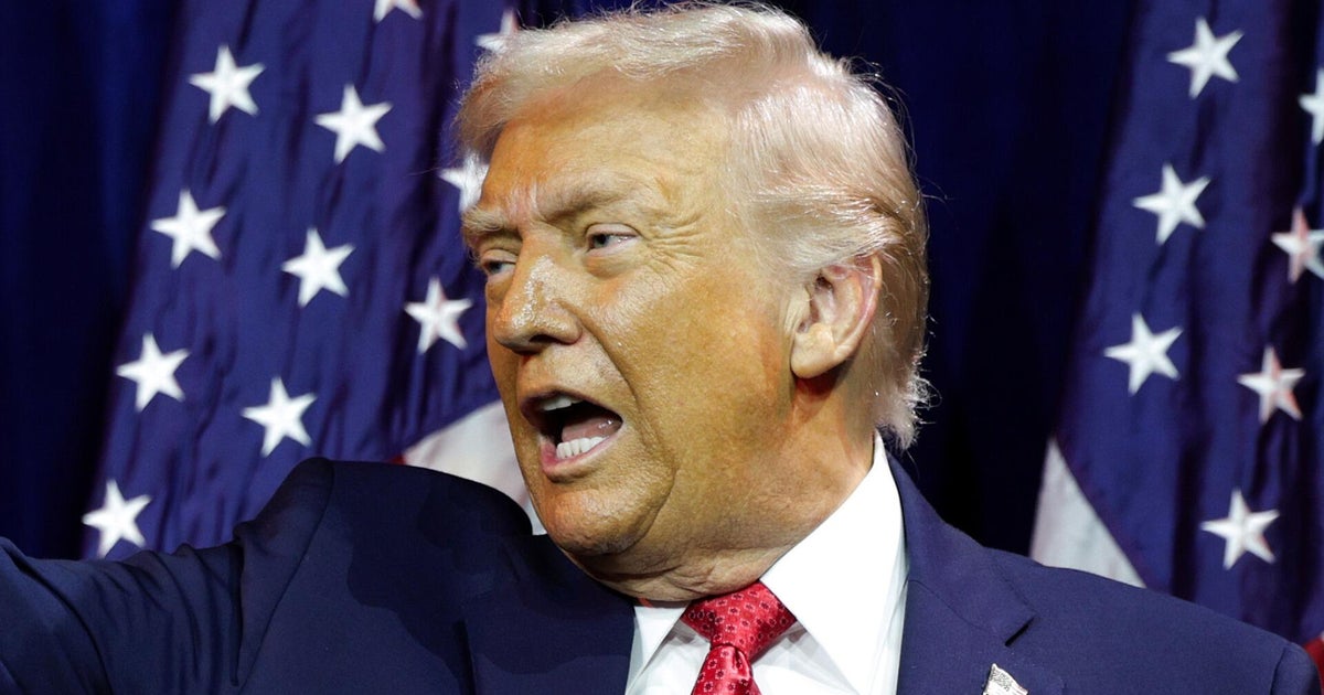 Trump reacts to ICE agent fatally shooting woman in Minneapolis