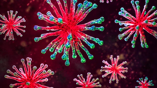 Close up of a group of Viruses 