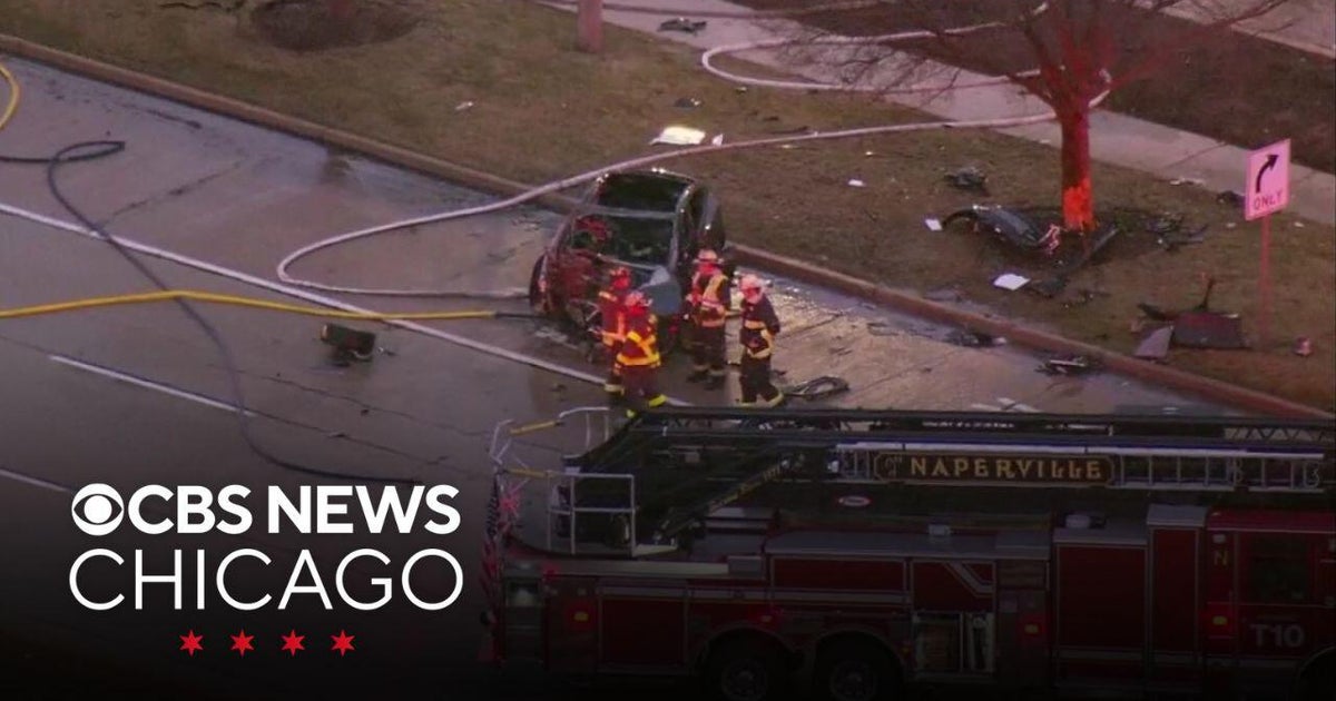 Tesla crashes and catches fire in Naperville
