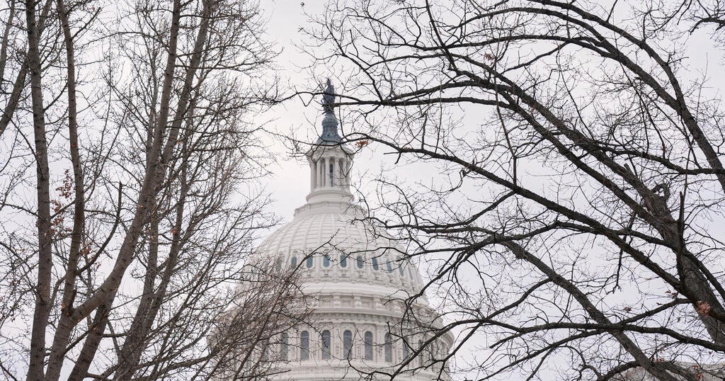 Убийството на жена от Минесота от служител на имиграционните и