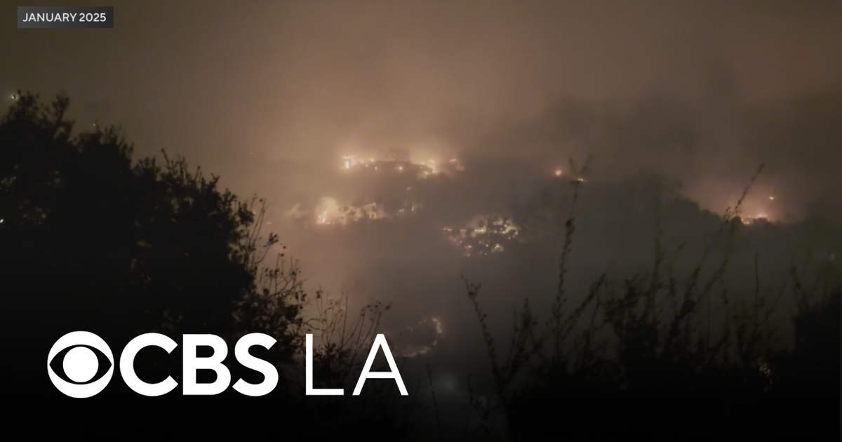 A year later: Rustic Canyon residents reflect on saving homes during Palisades Fire