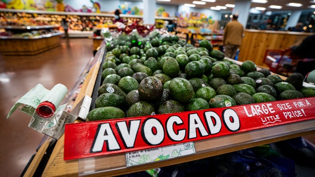 Avocados for sale at a grocery store 
