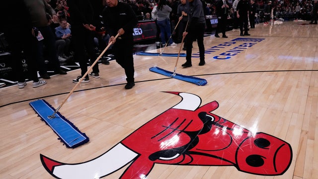 Heat Bulls Basketball 