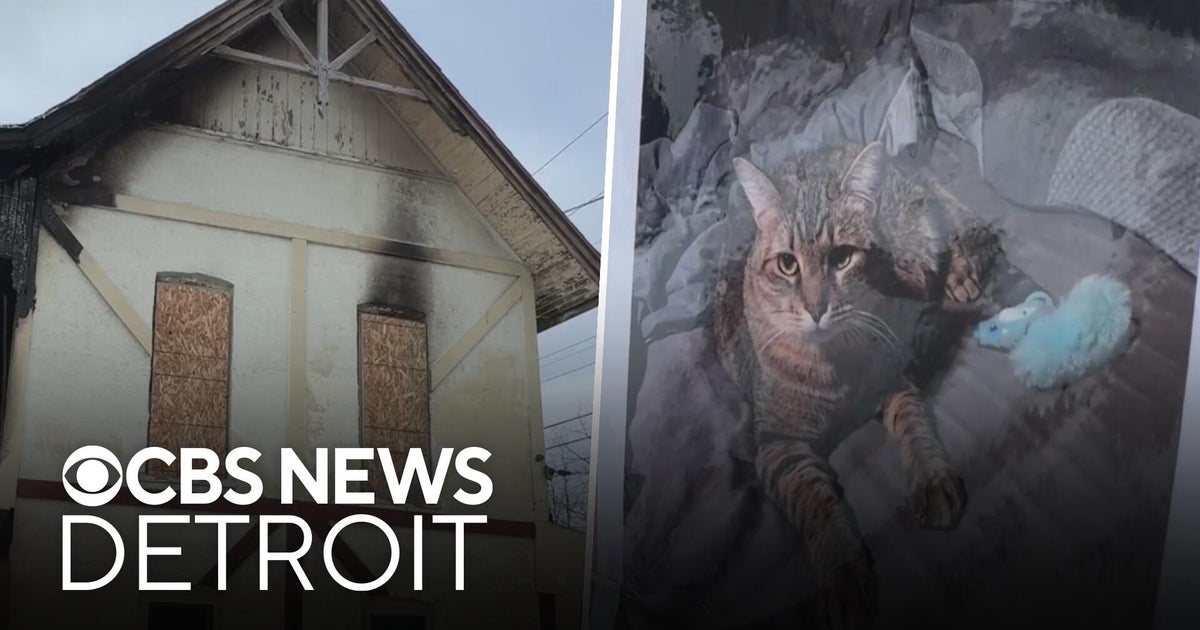 Duplex fire in South Lyon injures 1, leaves cat missing