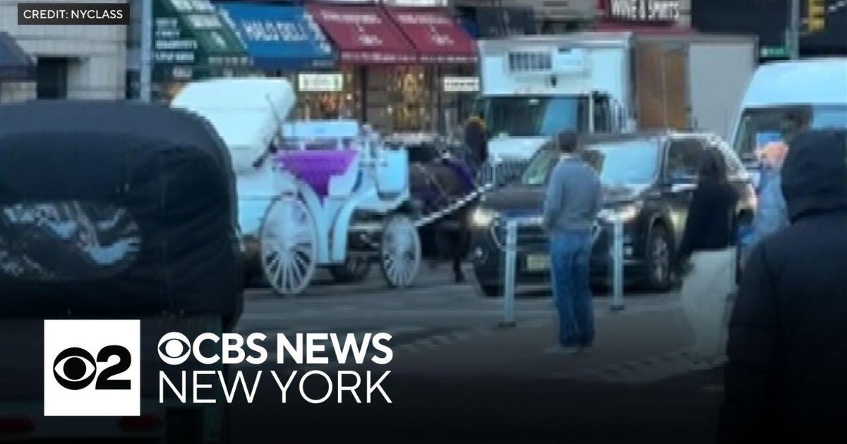 Carriage horse runs into traffic, hits cars