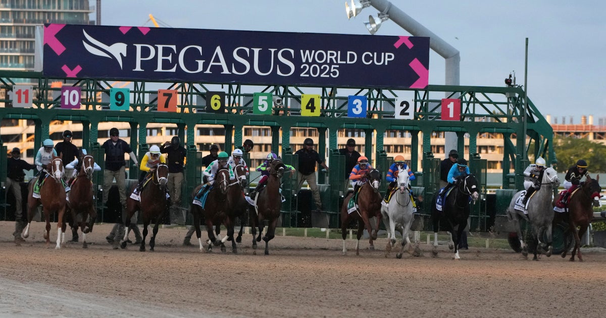 Florida House panel backs bill decoupling thoroughbred horse racing, gambling