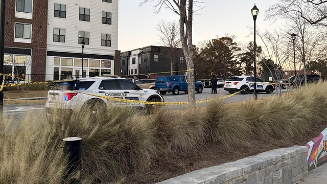 Police lights generic 