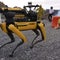 Robot "dogs" sniff out places too dangerous for humans
