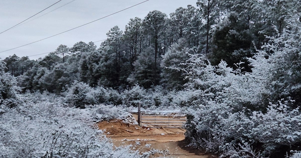 Part of Florida Panhandle becomes Snowy State as Sunshine State gets snow